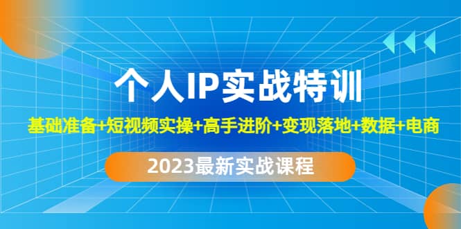 2023个人IP实战特训：基础准备+短视频实操+高手进阶+变现落地+数据+电商_网创掘金