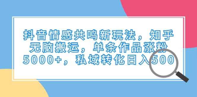 抖音情感共鸣新玩法，知乎无脑搬运，单条作品涨粉5000+，私域转化日入500_网创掘金