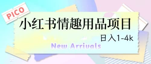 最新小红书情趣用品项目，日入1-4k_网创掘金