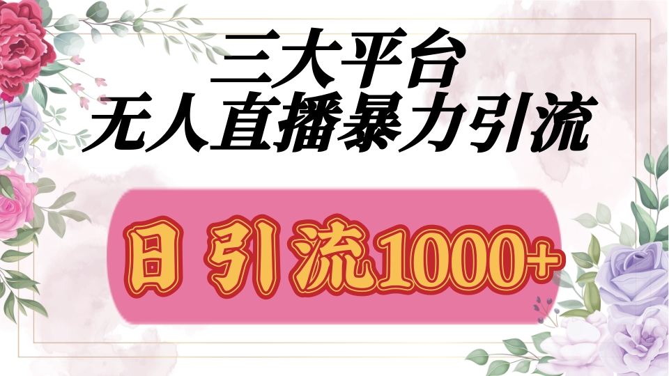 抖音，快手，视频号全平台通用，无人直播引流法，利用图片,模板,整套话术挂机全天支持矩阵操作，无限设备多开，超暴力引流，1000+高质量精准创业粉_网创掘金