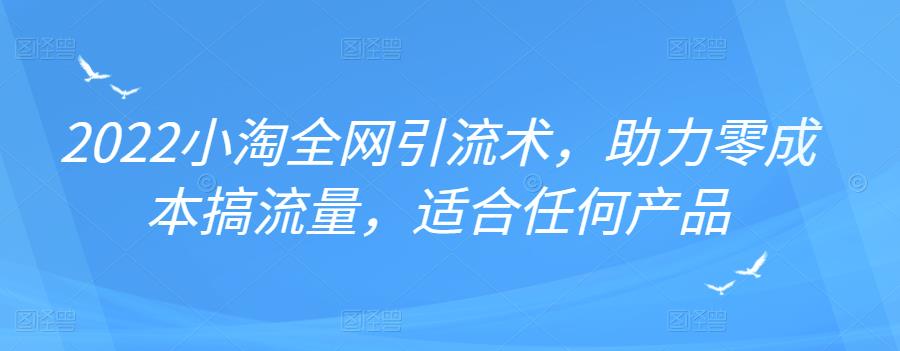 2022年小淘全网引流术，助力零成本搞流量，适合任何产品_网创掘金