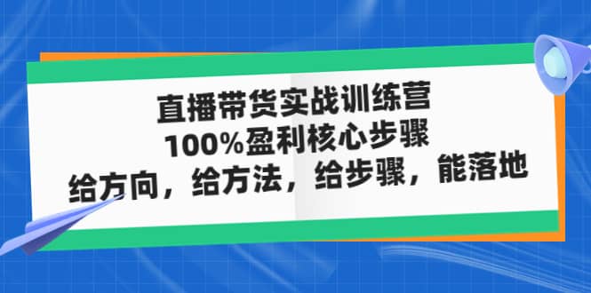 直播带货实战训练营：100%盈利核心步骤，给方向，给方法，给步骤，能落地_网创掘金