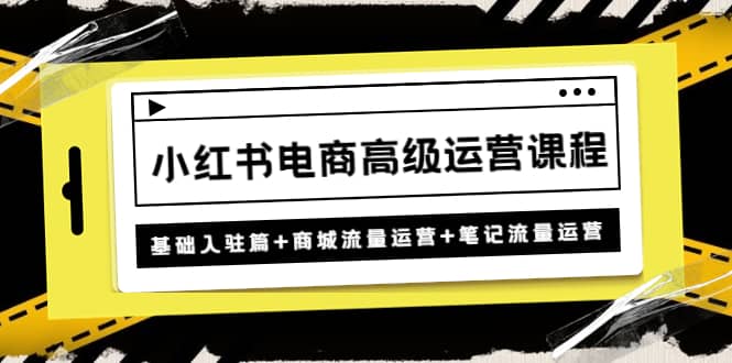 小红书电商高级运营课程：基础入驻篇+商城流量运营+笔记流量运营_网创掘金