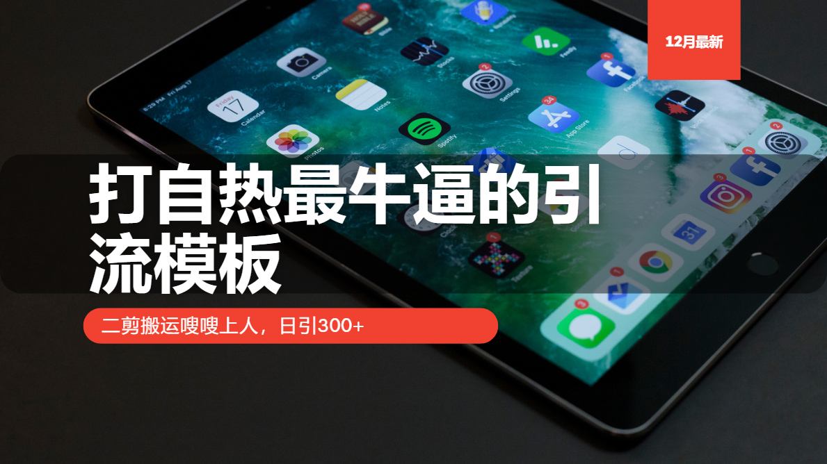 打自热最牛逼的引流模板，日引300+，二剪搬运嗖嗖上人_网创掘金