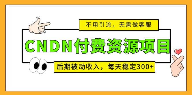 CNDN付费资源项目，不用引流，无需做客服，后期被动收入_网创掘金