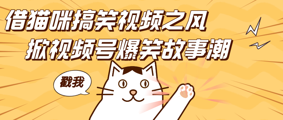 借猫咪搞笑视频之风，掀视频号爆笑故事潮，轻松日赚四位数，开启无门槛赚钱新体验！_网创掘金