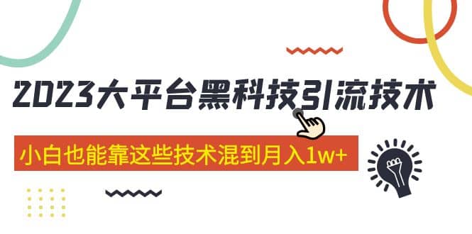 价值4899的2023大平台黑科技引流技术 29节课_网创掘金