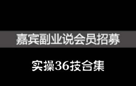 嘉宾副业说实操36技合集，价值1380元_网创掘金