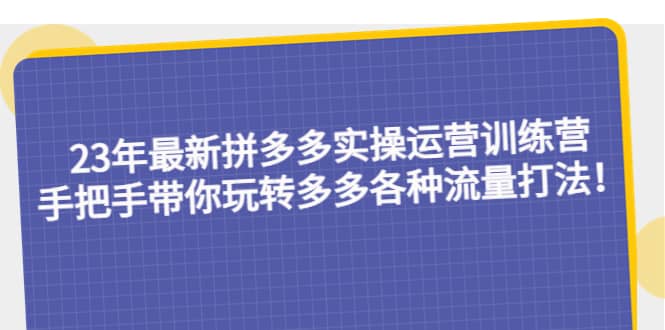 23年最新拼多多实操运营训练营：手把手带你玩转多多各种流量打法！_网创掘金