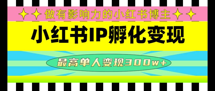 某收费培训-小红书IP孵化变现：做有影响力的小红书博主_网创掘金