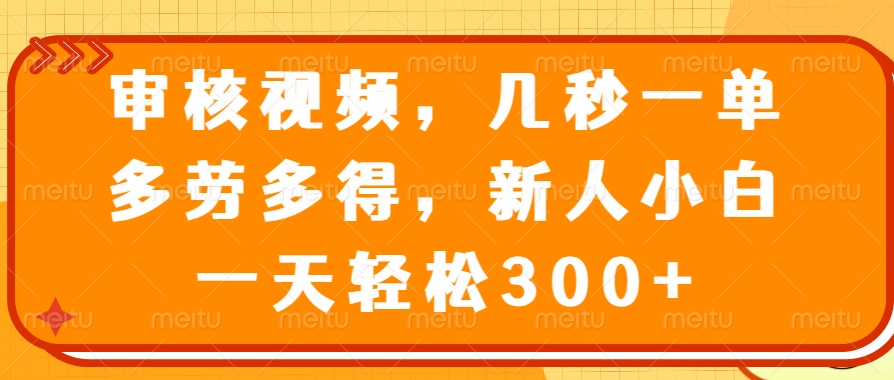 审核视频项目，几秒一单，多劳多得，新人小白一天轻松300+_网创掘金