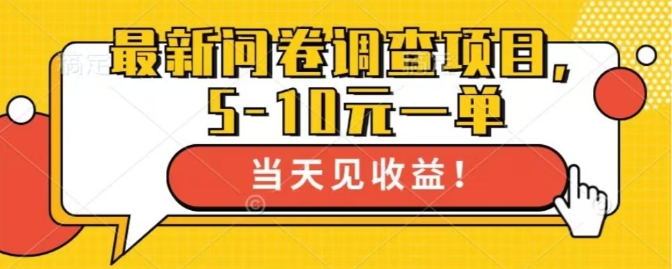 最新问卷调查项目，共12个平台，单日零撸100＋_网创掘金