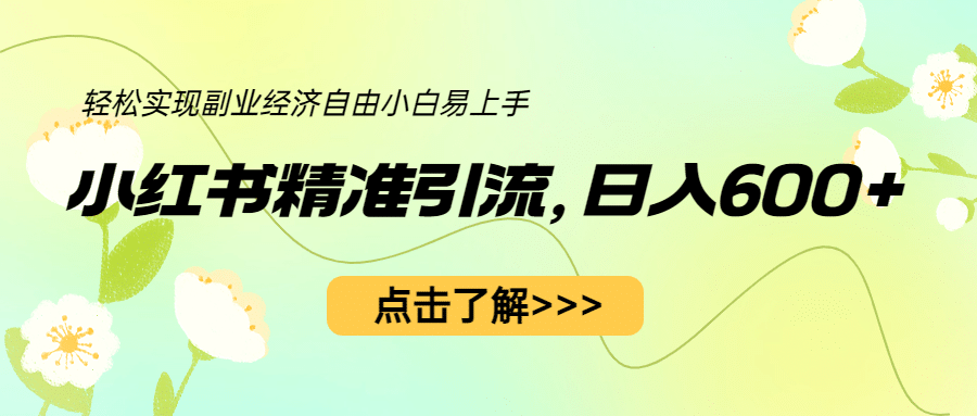 小红书精准引流，小白日入600+，轻松实现副业经济自由（教程+1153G资源）_网创掘金