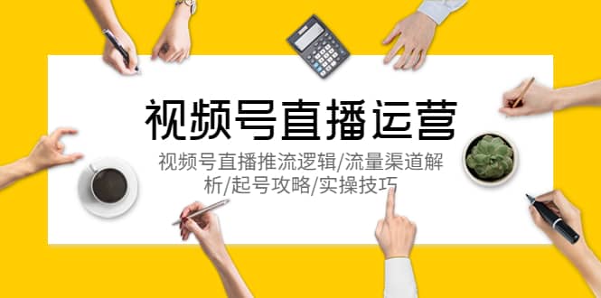 视频号直播运营，视频号直播推流逻辑/流量渠道解析/起号攻略/实操技巧_网创掘金