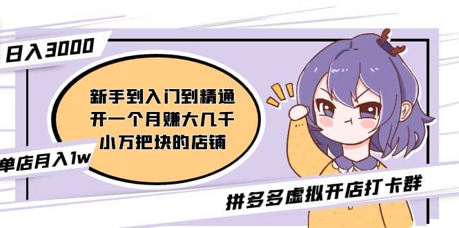 拼多多虚拟开店打卡群：新手到入门到精通_网创掘金