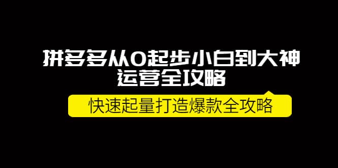 拼多多从0起步小白到大神运营全攻略_网创掘金