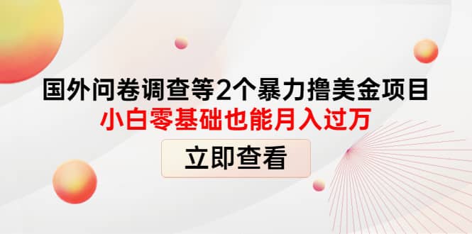 国外问卷调查等2个暴力撸美元项目，小白零基础也能月入过万_网创掘金