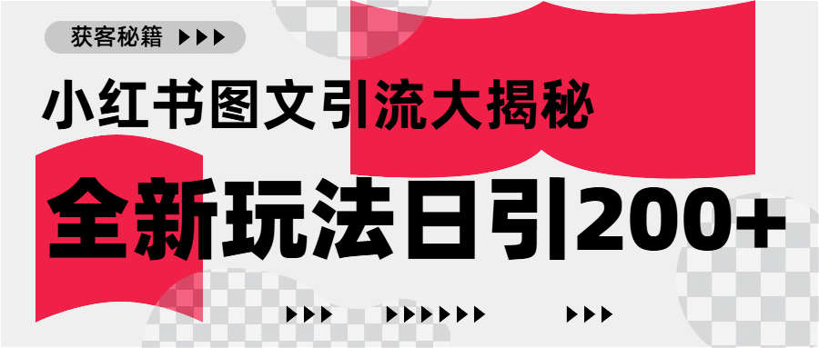 小红书图文引流，只需一张图片即可撬动百万流量，日引200+创业粉_网创掘金