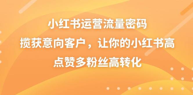小红书运营流量密码，揽获意向客户，让你的小红书高点赞多粉丝高转化_网创掘金