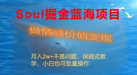 Soul掘金蓝海项目细分赛道，做情感价值变现，月入2w+不是问题_网创掘金
