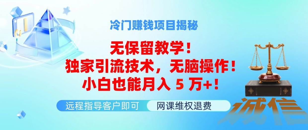 冷门赚钱项目无保留教学！独家引流技术，无脑操作！小白也能月入5万+！_网创掘金
