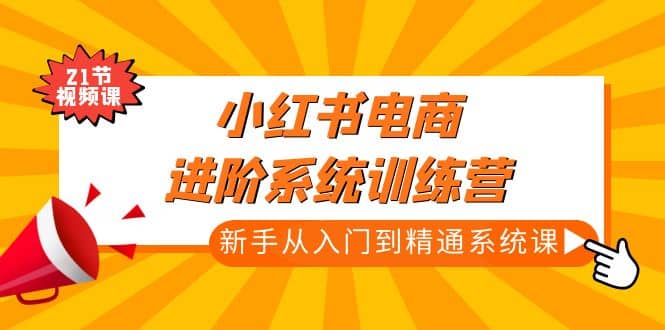 小红书电商进阶系统训练营：新手从入门到精通系统课（21节视频课）_网创掘金