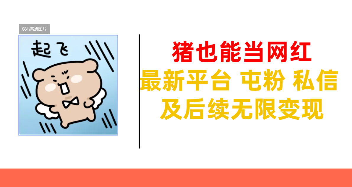猪也能当网红-最新平台 屯粉 交流 私信 及后续无限变现_网创掘金