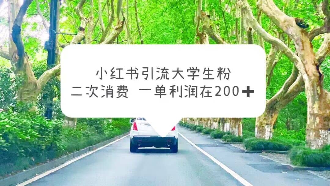 小红书引流大学生粉，变现项目，一单利润在200+（教程+资源）_网创掘金