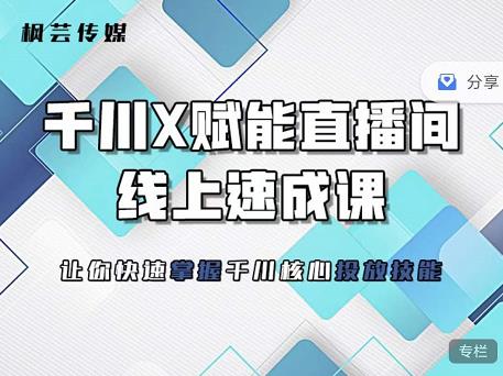 枫芸传媒-线上千川提升课，提升千川认知，提升千川投放效果_网创掘金