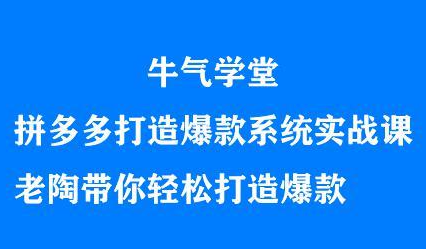 牛气学堂拼多多打造爆款系统实战课，老陶带你轻松打造爆款_网创掘金