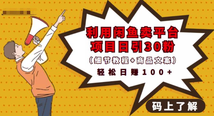 利用闲鱼卖平台项目课程资源日引流30+精准粉丝，轻松日赚100+，积累人脉可实现二次变现（细节教程+商品文案）_网创掘金