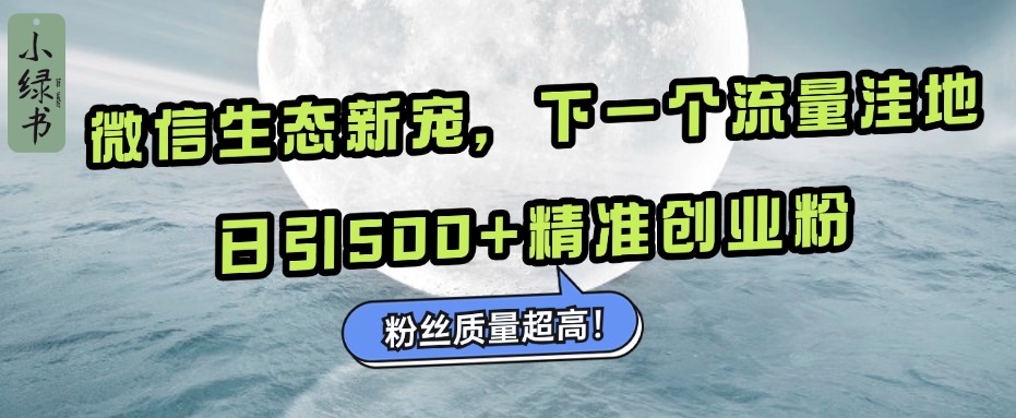 微信生态新宠小绿书：下一个流量洼地，粉丝质量超高，日引500+精准创业粉，_网创掘金