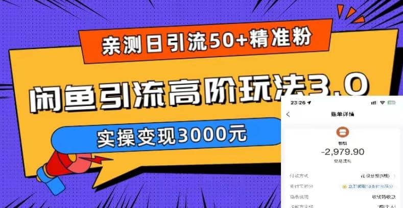 实测日引50+精准粉，闲鱼引流高阶玩法3.0，实操变现3000元_网创掘金