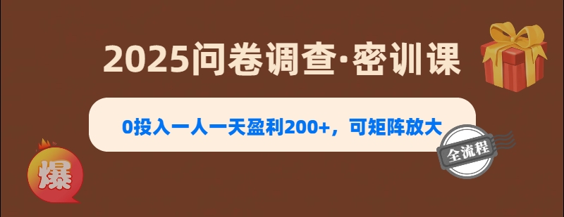 2025《问卷调查》0投入一人一天盈利200+，可矩阵放大_网创掘金