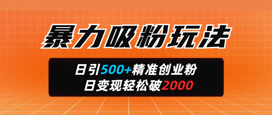 暴力吸粉玩法，日引500+精准创业粉，日变现轻松破2000_网创掘金