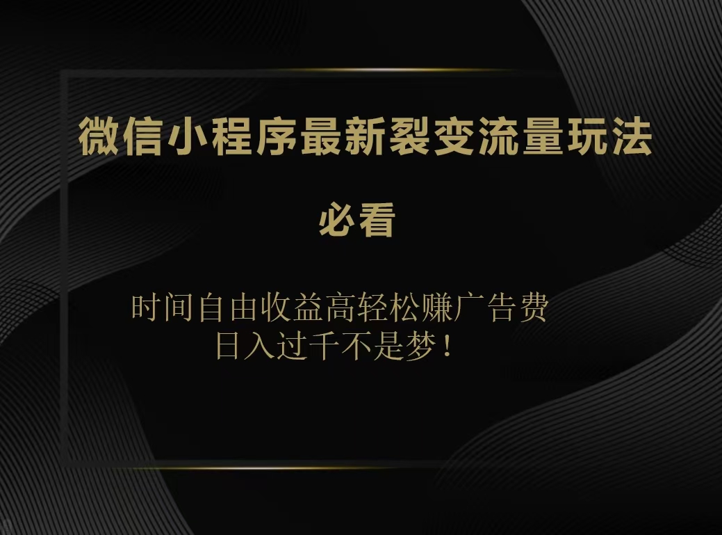 微信小程序最新裂变流量玩法，时间自由收益高轻松赚广告费，日入200-500+_网创掘金
