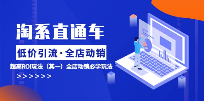 淘系直通车《低价·引流 全店·动销》超高ROI玩法（其一）全店动销必学玩法_网创掘金