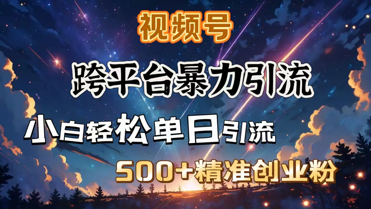 视频号跨平台暴力引流，小白轻松单日引流500＋精准创业粉_网创掘金