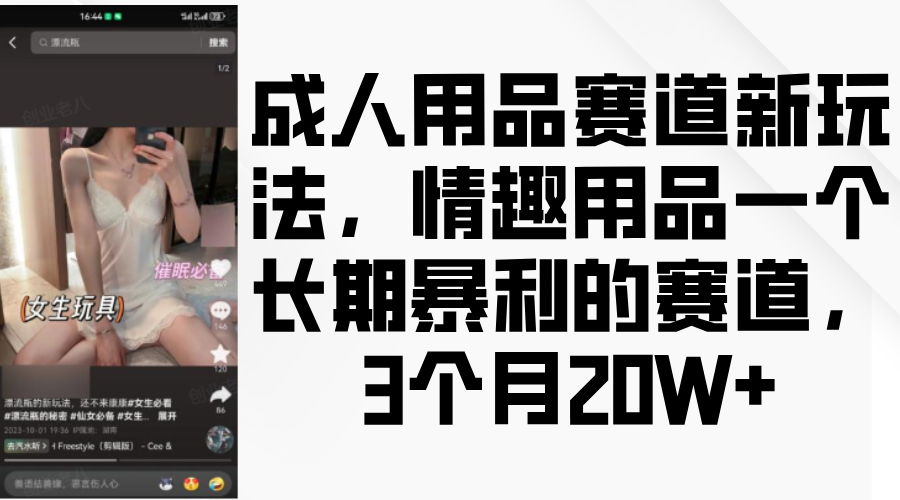 情趣用品一个长期暴利的赛道，成人用品赛道新玩法，3个月20W+_网创掘金