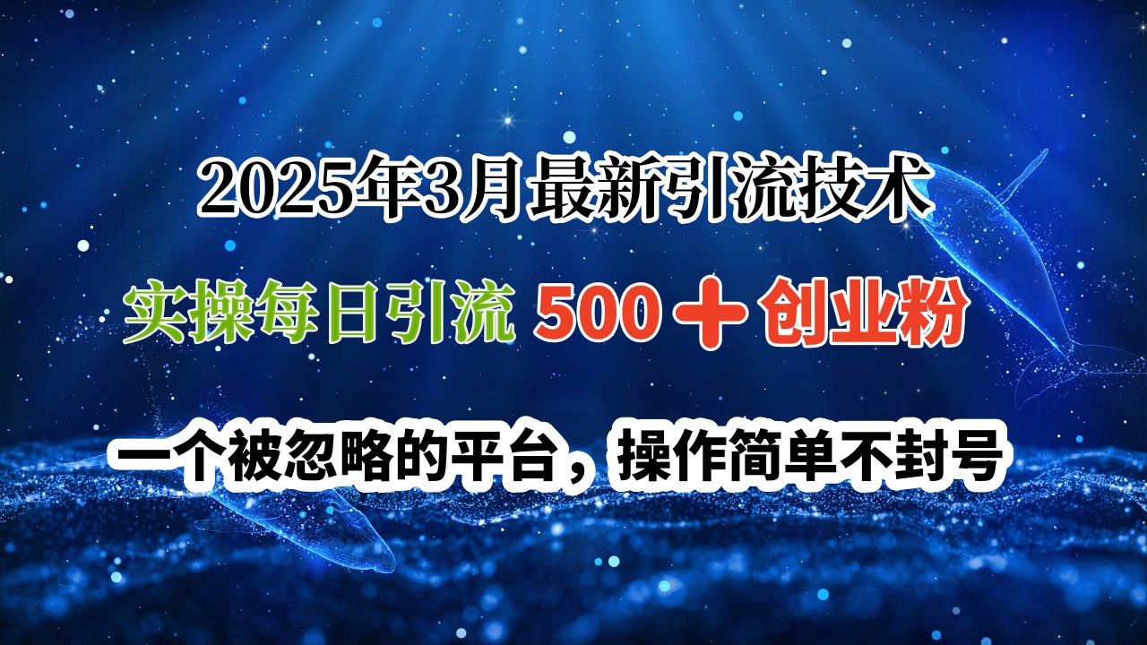 2025年3月最新引流技术，实操每日引流500➕创业粉，一个被忽略的平台，操作简单不封号_网创掘金