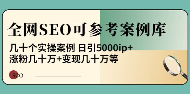 《全网SEO可参考案例库》几十个实操案例_网创掘金