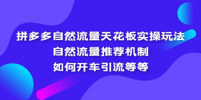 拼多多自然流量天花板实操玩法：自然流量推荐机制，如何开车引流等等_网创掘金