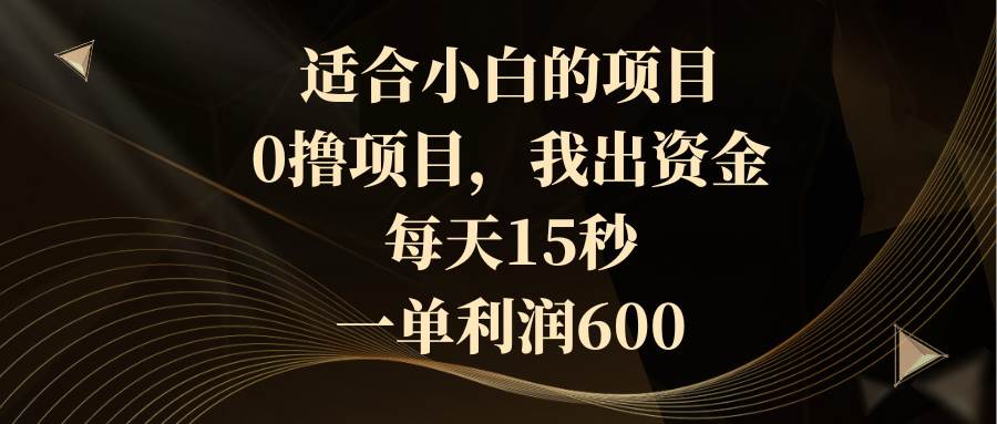适合小白的项目，0撸项目，我出资金，每天15秒，一单利润600_网创掘金