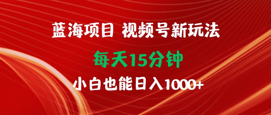 蓝海项目视频号新玩法 每天15分钟 小白也能日入1000+_网创掘金