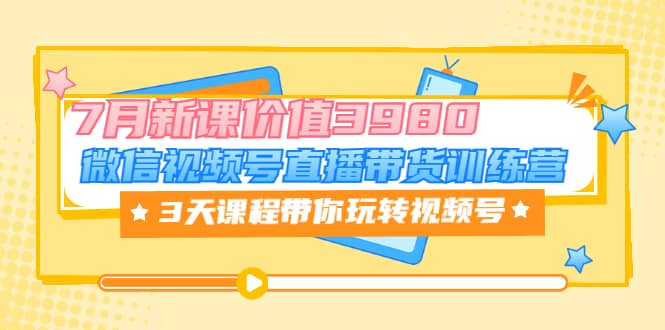微信视频号直播带货训练营，3天课程带你玩转视频号：7月新课价值3980_网创掘金