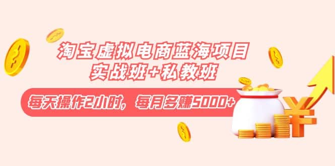 淘宝虚拟电商蓝海项目实战班+私教班_网创掘金