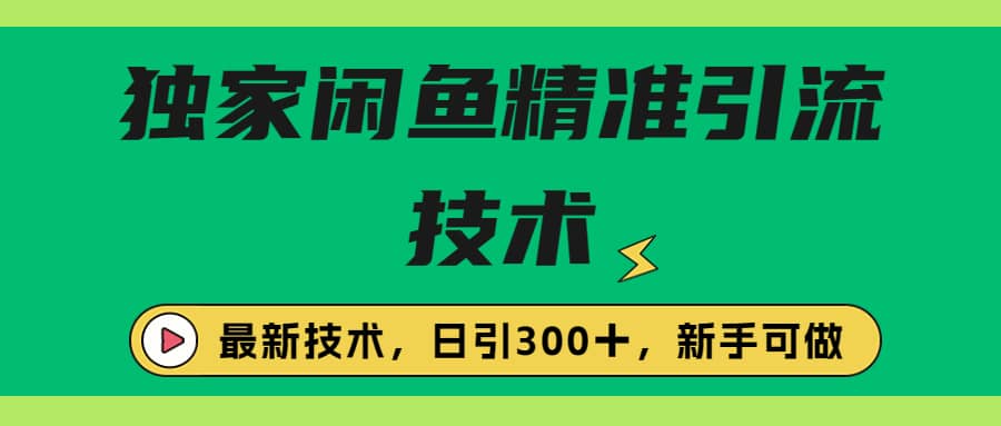 独家闲鱼引流技术，日引300＋实战玩法_网创掘金