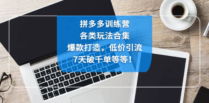 拼多多训练营：各玩法合集，爆款打造，低价引流，7天破千单等等_网创掘金