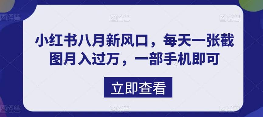 八月新风口，小红书虚拟项目一天收入1000+，实战揭秘_网创掘金