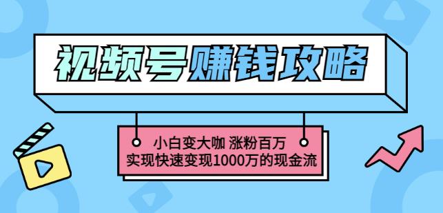 玩转微信视频号赚钱：小白变大咖涨粉百万实现快速变现1000万的现金流_网创掘金